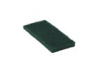 Pad Doodlebug groen 25x11,5 cm