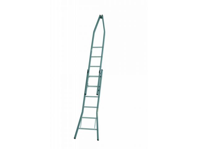 Dirks gecoate puntladder 2x6