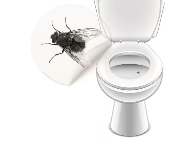 Urinoirsticker vlieg 8 st.