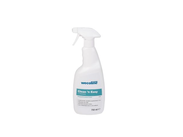 Clean 'n Easy Desinfectie Foamspray 750 ml